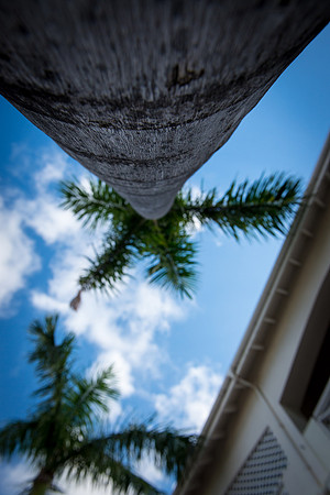 0577_2014_Family_Cruise_St_Maarten_7050