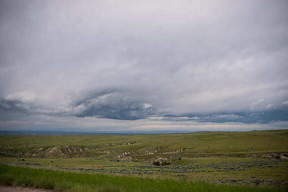 2019_Alaska_Trip_Day02_3291