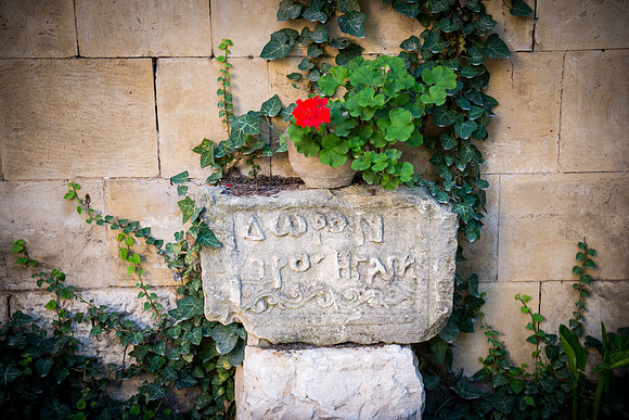 1647b_2015_Israel_Trip_5318