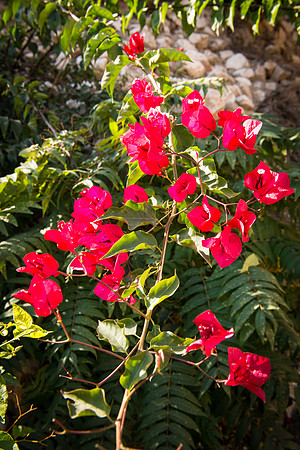 1494_2015_Israel_Trip_5164