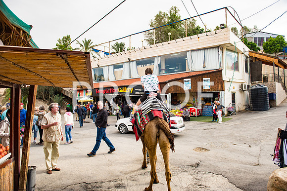 2018_Israel_Trip_05_02-7418