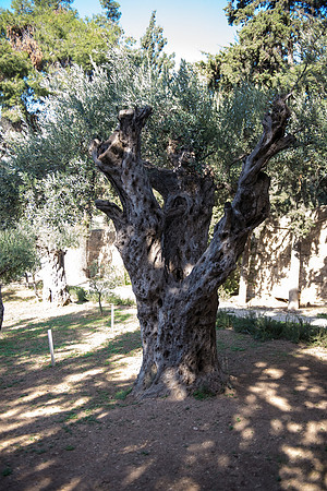 1265_2015_Israel_Trip_4895