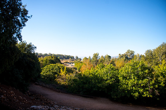 0647_2015_Israel_Trip_4272