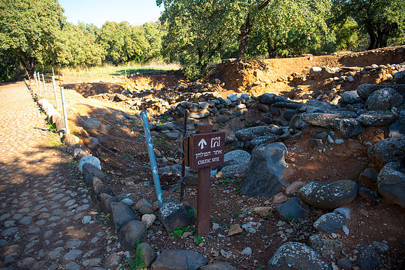 0705_2015_Israel_Trip_4331