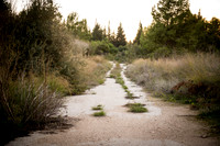 1907_2015_Israel_Trip_5587