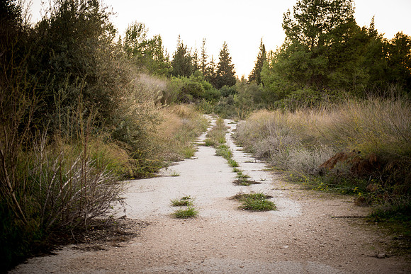 1907_2015_Israel_Trip_5587