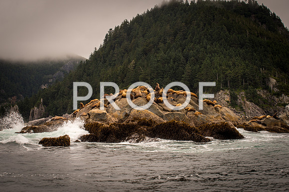 Fishing_610_2075