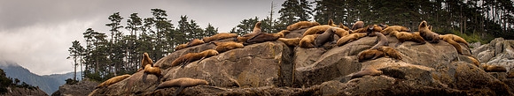2021_Alaskan_Vaca_2069