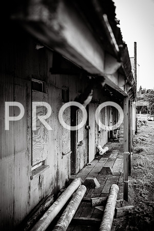 AbandonedBuildings_750_9134