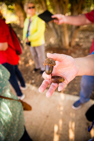 0692_2015_Israel_Trip_4318