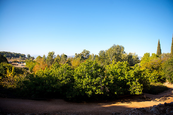0648_2015_Israel_Trip_4273