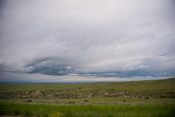 2019_Alaska_Trip_Day02_3293
